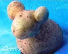 小羊798最新爆料,娱乐圈最新动态大曝光!