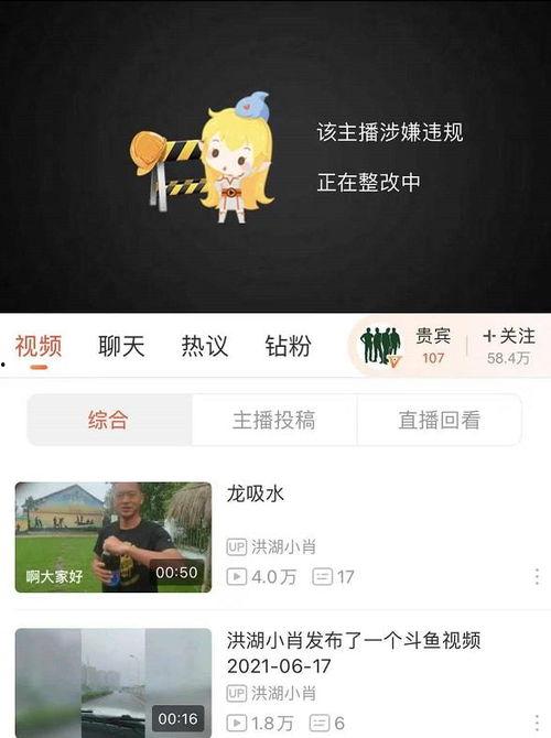 主播爆料出装大全图片最新,最新爆款出装大全,助你战力飙升!